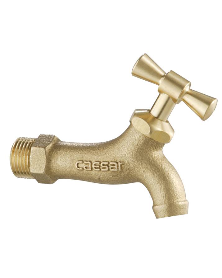 voi-lanh-gan-tuong-caesar-w034